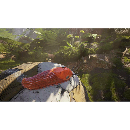 Игра для Xbox Empire of the Ants (оформление на учётную запись) - 5