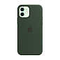 Клип-кейс (накладка) Apple Silicone Case MagSafe для Apple iPhone 12 / 12 Pro
